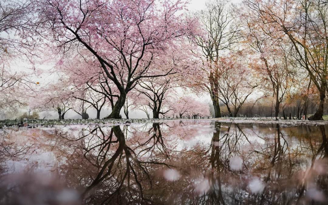 Seeking and ACTIVELY pursuing clarity: A priority for Innovative Leaders and Visionary Entrepreneurs in January!